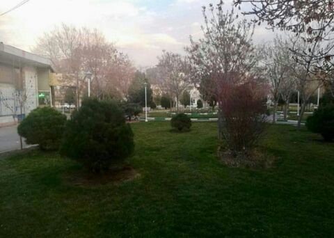 بوستان شمشاد در شرف تخریب