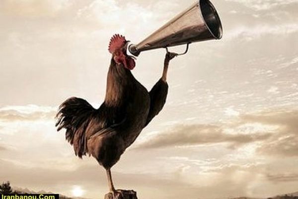 9گام تا سحرخیزی