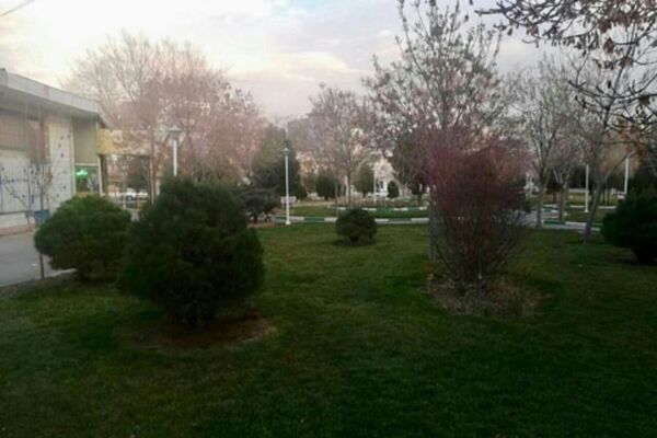 برای بوستان«شمشاد»سند سازی شده است/پیگیری موضوع در دادگستری