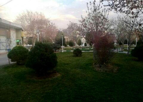 برای بوستان«شمشاد»سند سازی شده است/پیگیری موضوع در دادگستری