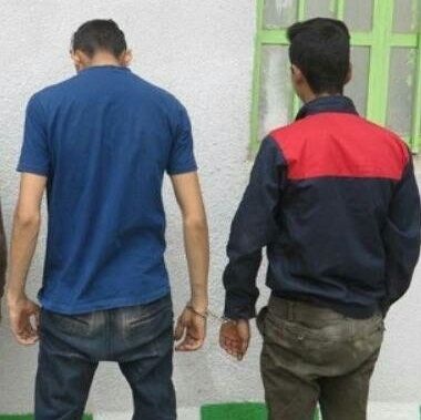 دستگیری سارقان حرفه ای اداوات كشاورزي در نیشابور