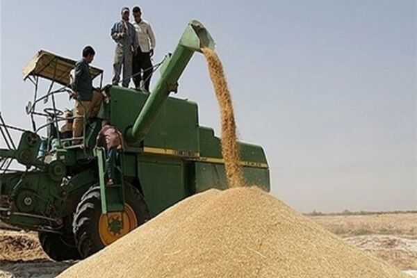 مجلس و دولت برای افزایش "قیمت خرید تضمینی گندم" توافق کردند