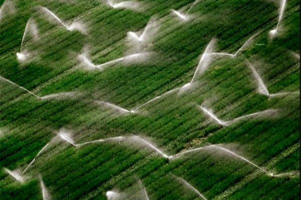 130 هزار هکتار مزارع خراسان رضوی با سیستم نوین آبیاری می شود