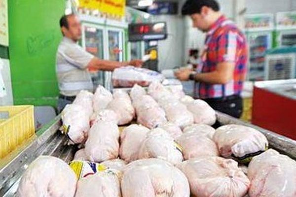 مرغ ارزان شد