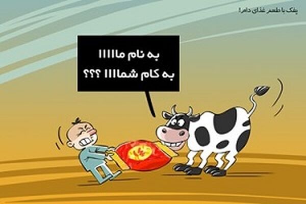پفک با طعم غذای دام!