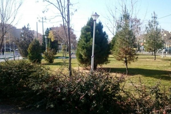 دستور دادستان مشهد برای توقف اجرای حکم تخریب بوستان«شمشاد»