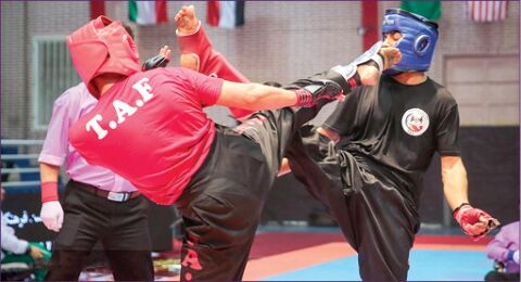 فعالیت 4 هزار کونگ فو کار غیر رسمی در استان