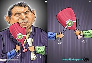خصوصی سازی یا خودمانی سازی!