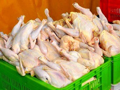 مرغ گرم 9 هزار و 800 تومانی در مشهد توزیع می‌شود
