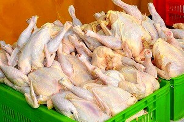 مرغ گرم 9 هزار و 800 تومانی در مشهد توزیع می‌شود