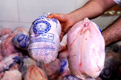 توزیع گوشت مرغ گرم ۹هزار و ۸۰۰ تومانی در۲۵ نقطه در مشهد+آدرس