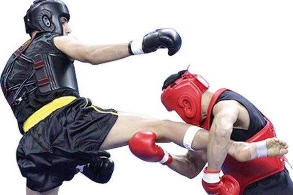 ووشو کار خراسانی: توجهی به مدال‌آوران نمی‌شود