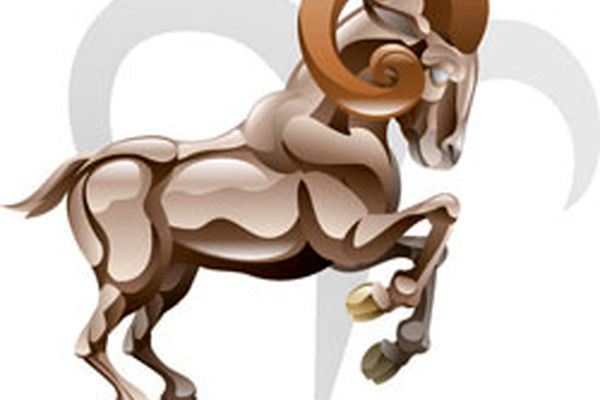 نماد ماه‌های تولد