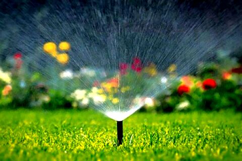 حذف آبیاری تانکری فضای سبز سطح منطقه5