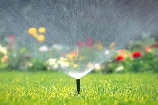 حذف آبیاری تانکری فضای سبز سطح منطقه5