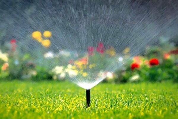 حذف آبیاری تانکری فضای سبز سطح منطقه5