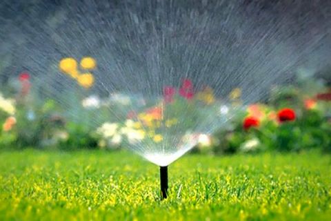 حذف آبیاری تانکری فضای سبز سطح منطقه5