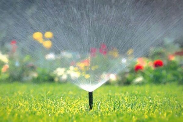 حذف آبیاری تانکری فضای سبز سطح منطقه5