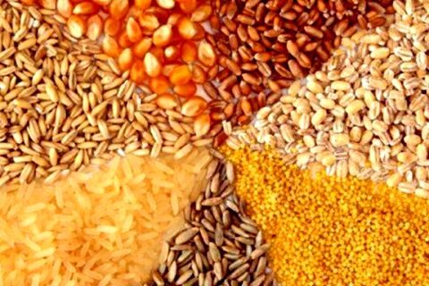 قیمت جو، ذرت و کنجاله وارداتی اعلام شد
