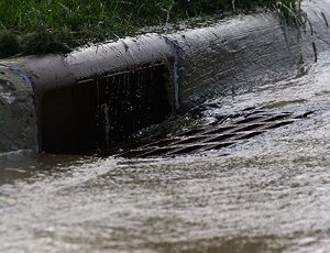 عجیب‌ترین جاهایی که والدین نوزادشان را رها کردند!