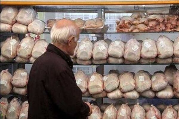 فروش مرغ با قیمت بالاتر از ۱۱،۵۰۰ تومان تخلف است