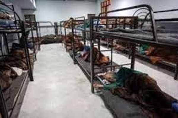 پذیرش بیش از هزار نفر در گرمخانه خانه سبز مشهد