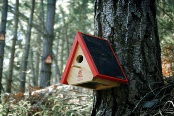 نصب ۳۴۰ لانه پرنده در بوستان‌های سطح شهر