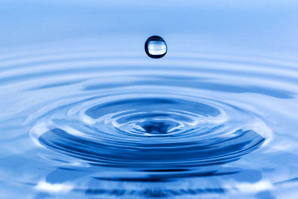 بیشترین آلودگی محیط زیست خراسان رضوی در حوزه آب است