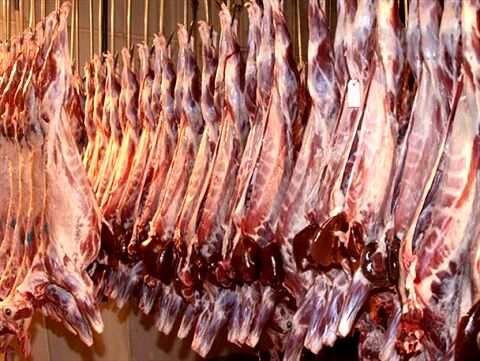 کشف 5 تن گوشت قاچاق در مشهد
