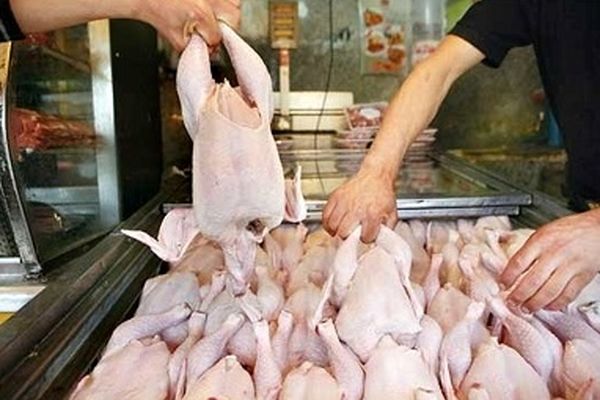 قیمت مرغ به کیلویی ۱۷ هزار و ۲۰۰ تومان رسید