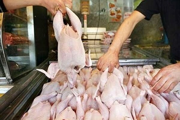 قیمت مرغ به کیلویی ۱۷ هزار و ۲۰۰ تومان رسید