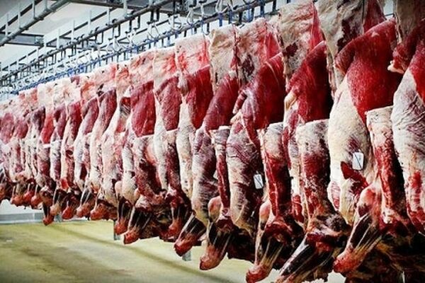 کاهش قیمت گوشت در روز های آتی با کنترل قاچاق