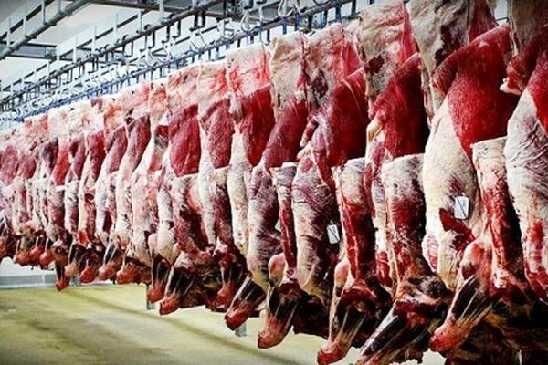 کاهش قیمت گوشت در روز های آتی با کنترل قاچاق