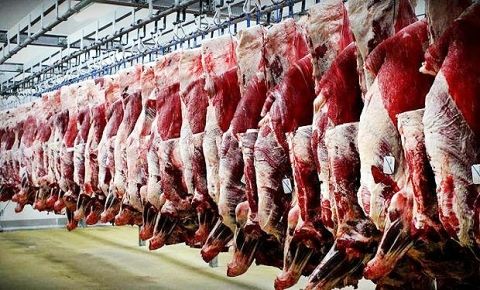 کاهش قیمت گوشت در روز های آتی با کنترل قاچاق