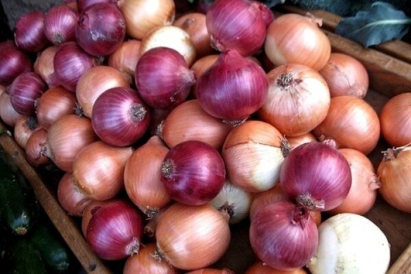 قیمت پیاز به نرخ اسفند ماه برمیگردد