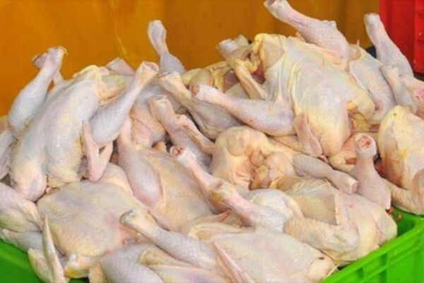 تامین گوشت مرغ مشهد در ایام نوروز بر عهده 5 فروشگاه است