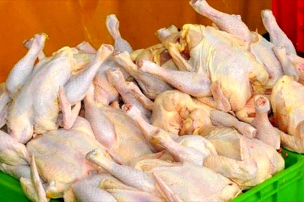 تامین گوشت مرغ مشهد در ایام نوروز بر عهده 5 فروشگاه است