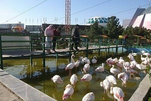از آرامگاه فردوسی تا باغ پرندگان و طبیعت بهاری