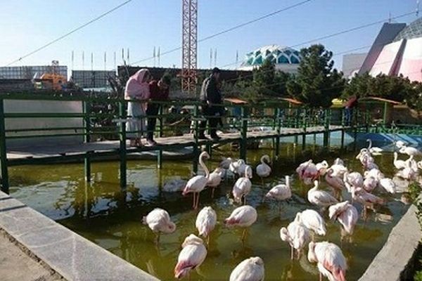 از آرامگاه فردوسی تا باغ پرندگان و طبیعت بهاری