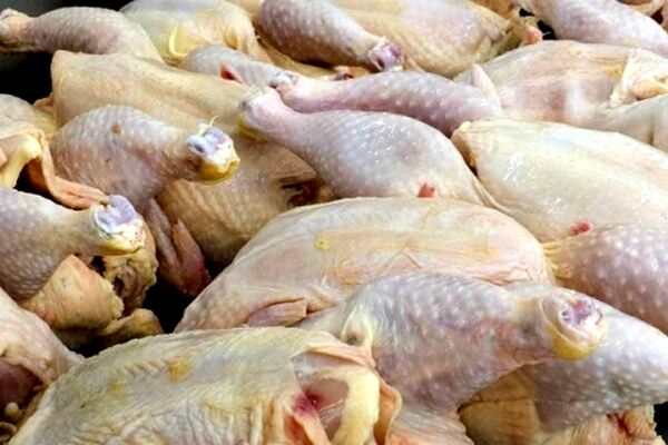 خراسان رضوی کمترین قیمت گوشت مرغ در کشور را دارد