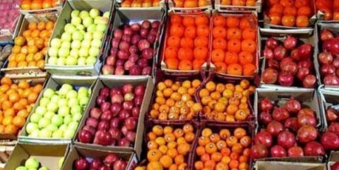 خریداری 2800 تن میوه تنظیم بازار توسط خراسانی ها