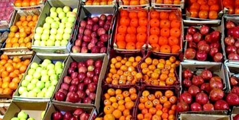خریداری 2800 تن میوه تنظیم بازار توسط خراسانی ها