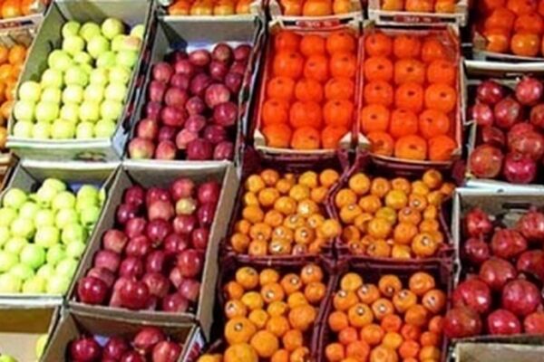 خریداری 2800 تن میوه تنظیم بازار توسط خراسانی ها