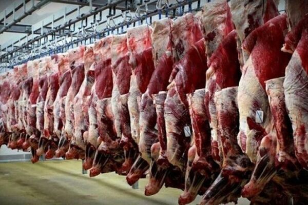 توزیع 300 تن گوشت قرمز منجمد در بازار خراسان رضوی