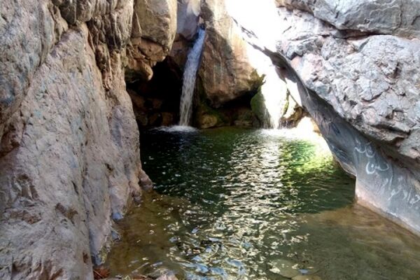 دیار تاکستان‌های سرسبز چشم به راه مسافران نوروزی