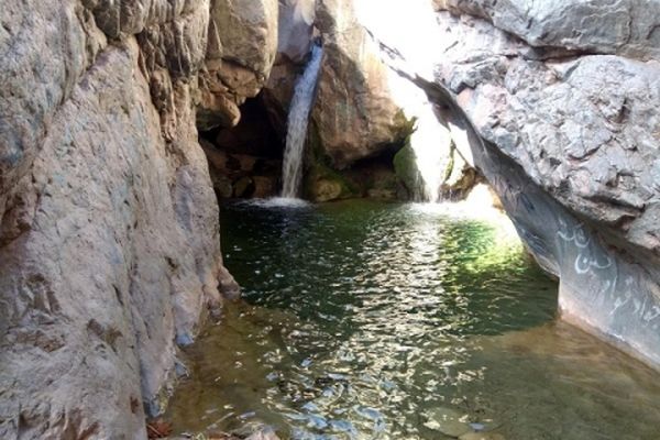 دیار تاکستان‌های سرسبز چشم به راه مسافران نوروزی