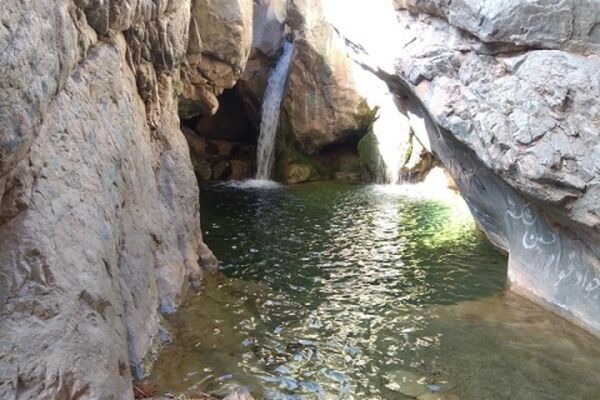دیار تاکستان‌های سرسبز چشم به راه مسافران نوروزی
