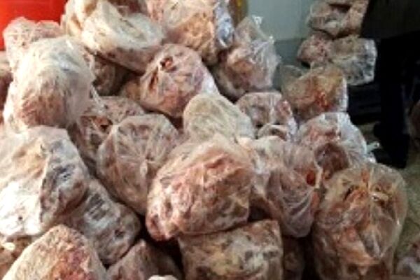 کشف و توقیف ۱۲ تن گوشت فاسد در مشهد/۶ نفر بازداشت شدند