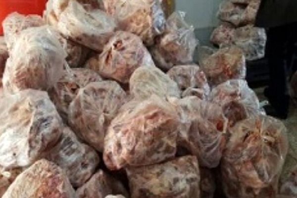 کشف و توقیف ۱۲ تن گوشت فاسد در مشهد/۶ نفر بازداشت شدند
