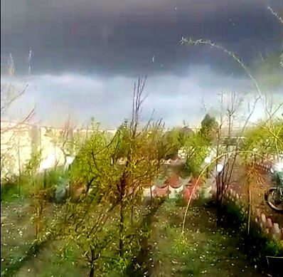 بارش شدید باران در شاندیز